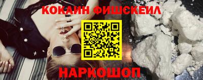 дмт Славгород