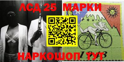 дмт Славгород