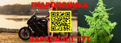 дмт Славгород