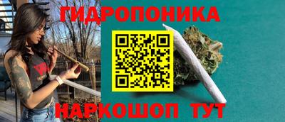 дмт Славгород