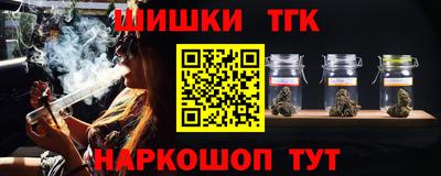 дмт Славгород