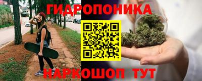 ПСИЛОЦИБИНОВЫЕ ГРИБЫ Сланцы