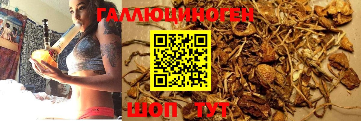 Галлюциногенные грибы мухоморы Печора